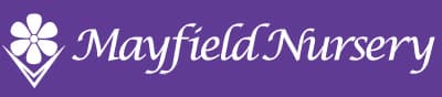 Green Select Perennials – Mayfield Nursery